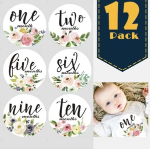 Milestone Monthly Stickers, Newborn Baby 1-12 Months Photo Props - Picture 1 of 4