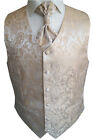 Plastron, Pocket and Tie Wedding Vest #20.2 Size: 44 - 114