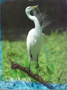 Audubon Magazine January 1978 Rookery Bay Cowpens Key Texas Insect Zoo Terns - Bild 1 von 1