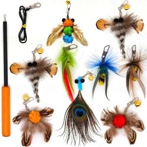Interactive Cat Toys 10 PCS Retractable Wand Toys Feather Toy Refills Indoor - Picture 1 of 6