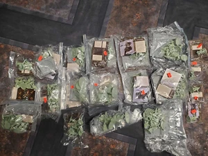 ASoIaF Miniatures Game - Free Folk Army Bundle - Picture 1 of 1
