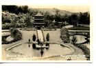 Bridge-Pagoda-Bernheimer Garden-Hollywood-California-Rppc-Vintage Photo Postcard