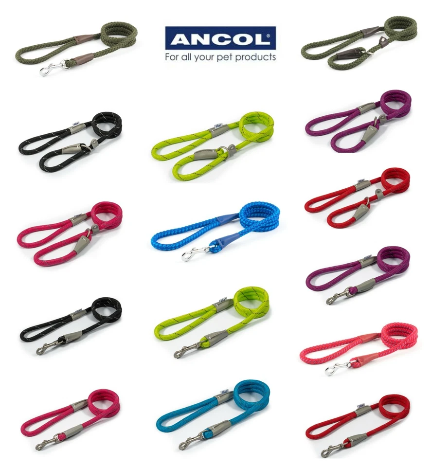 Прочная веревка слип Ancol соло и зажим провода, отделанные кожа .20-75kg собак 💕 - Изображение 1 из 1