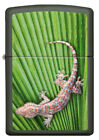 Zippo Benzin Feuerzeug Gecko Emblem 60005738 Spring 2021 NEU&OVP