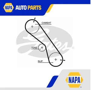 Timing Belt fits TOYOTA HIACE Mk5 3.0D 2010 on 1KD-FTV Gates 1356809130 Quality - Picture 1 of 2