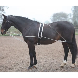 Shires Lunging Aid - Picture 1 of 1