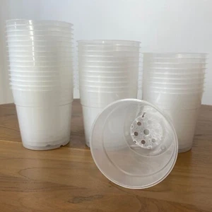120mm Clear Plastic Orchid Pots with Holes | Teku | Phalaenopsis, Paphiopedilum - Picture 1 of 9