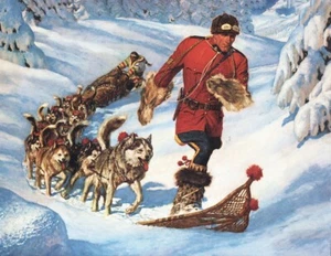 Kanadische Reithunde mit Schneeschuhen - Bild 1 von 1