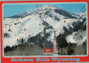 Jackson Hole Wyoming Gondola Teton Village Continental Postcard - Picture 1 of 2