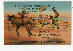 I am the Center of Interest Here in the Wild & Wooly West Postcard - Foto 1 di 2