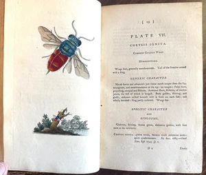 1792-93 1st Ed Vol I & II DONOVAN NATURAL HISTORY BRITISH INSECTS 72 Copper Plts - Imagen 1 de 24