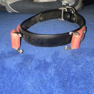 FI GPS Dog Collar - Biothane Black And Pink - Martingale 15-17.5” Range - Picture 1 of 3