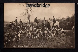 Helidon, Treffen der Bicester Hounds - südwestlich von Daventry - gedruckte Postkarte - Bild 1 von 1