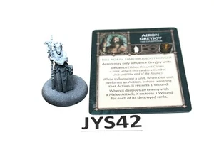 Warhammer Song of Ice and Fire Aeron Greyjoy JYS42 - Picture 1 of 1