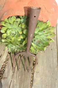 Antiq 5-Tine 12" Long Fishing Hunting Spear Head Blacksmith Hand Forged - Picture 1 of 12