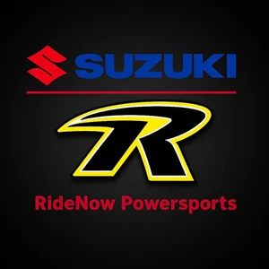 Suzuki Genuine OEM AN400 BACKREST 46200-05851-PGZ - Picture 1 of 1