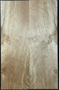 FLAMED, CURLY, SPALTED YELLOW BIRCH DROP TOP, ECO-FRIENDLY TONEWOOD - Picture 1 of 5