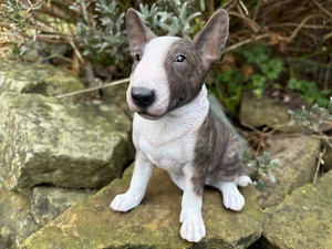Vivid Arts English Bull Terrier EBT – Realistic Garden Ornament, Statue, Gift - Picture 1 of 6