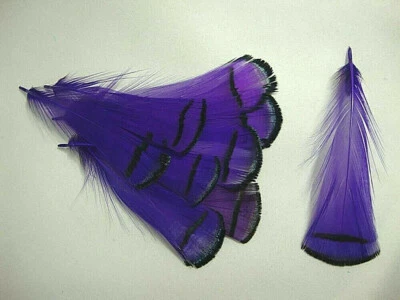 Purple Deep Pheasant Lady Amherst Feathers Body Plumage 3" 20 Pc - Image 1 of 3