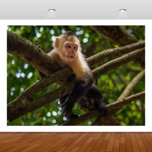 Monkey Animal Nature Trees Zoo 3D Smashed Wall Sticker Poster Vinyl Mural S441 - Imagen 1 de 1