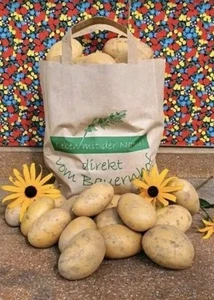 🥔 frische Speisekartoffeln 🥔 10kg vom Bauern Sorte Belana Ernte 2025 - Bild 1 von 4