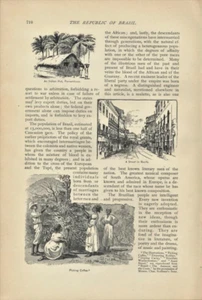 1893 Brazil Rio de Janeiro Old Engravings Harbor Avenue of Palms History Article - Picture 1 of 3