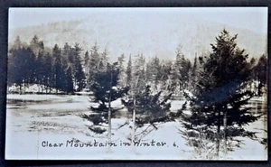 Beaver Lake NY Real Photo Postcard View of Clear Mountain - Picture 1 of 2