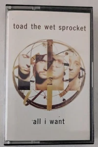 Toad The Wet Sprocket – All I Want. UK Cassette Single - Picture 1 of 4