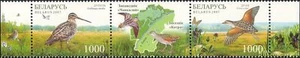 Belarus 2007 Snipe/Corncrake/Birds/Nature Reserve/Wildlife 2v stp (n27034a) - Picture 1 of 1