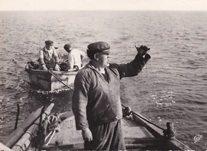 CPSM EN BRETAGNE OU EST LA SARDINE ? - Picture 1 of 1