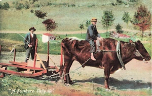 Postal de A Southern Tally Ho - Imagen 1 de 2