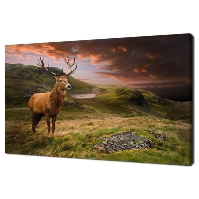 Dramatic Cloudy Sunset Above Red Deer Stag Modern Design Canvas Print - Image 1 of 4