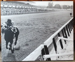 Großer Triple Crown Gewinner Rennpferd Sekretariat Fotodruck auf Leinwand 24" x 20" - Bild 1 von 7
