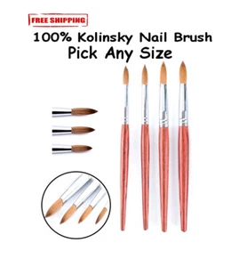 100% Kolinsky Acrylic Round Nail Brush Nail Art Brush Pick Any Size 4/6/8/10/12 - Picture 1 of 10