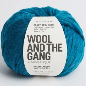 Knitting Crochet Yarn Wool and the Gang Crazy Sexy Wool Soft Chunky Merino - Picture 1 of 113