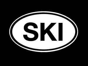 Ski Vinyl Sticker Decal Oval Snow - Picture 1 of 1