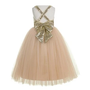 A-Line Tulle Flower Girl Dresses Wedding Pageant Dresses Birthday Girl Dresses - Picture 1 of 69