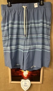 NWT Sonoma men’s blue XL swim trunk inner liner stretch pockets loose elastic dr - Picture 1 of 9