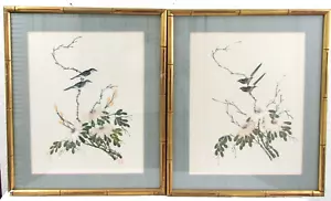 Pair of Matted and Framed 17th/18th Century Chinese Brush Paintings of Birds - Picture 1 of 9