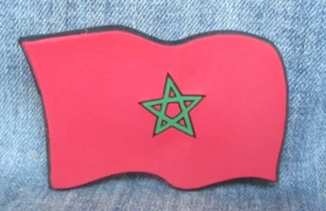 Marocco Bandiera Nazionale Epcot Center Disney World Taglio Laser Gomma 3D Calamita MB87 - Foto 1 di 2