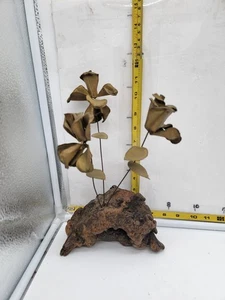 Vintage MCM Brass Metal And Driftwood Base Flower Art Sculpture  - Picture 1 of 7