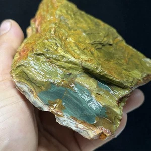 1lb 14oz Gary Green Jasper, Larsonite, Caldera Lapidary Rough For Cabbing gg#4 - Picture 1 of 12