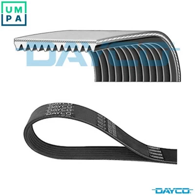VRIBBED BELT 11PK2040HD FOR MERCEDES-BENZ OM457.948/981/980/957/956/937 12.0L - Image 1 of 4