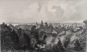 Milwaukee Wisconsin 1874 Steel Engraving Original Frameable Art Print ~9x12" - Picture 1 of 2