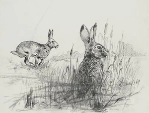 Hasenszene in der Wildnis, 1969, Kohle Moderne Tiere Unbekannt (20.Jhd) - Bild 1 von 5