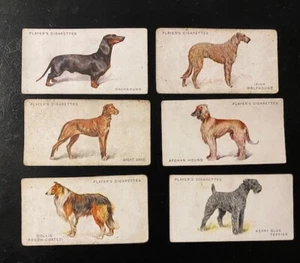 1931 Player's Cigarettes Dog Breed Trading Cards YOU CHOOSE Great Dane Hound ++ - Picture 1 of 25