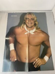 Vintage 1984 Wrestling Color Poster Bobby Windham / Magnificent Muraco 21” X 15”