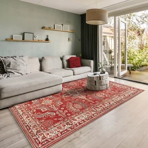 GLN Rugs Knossos - Machine Washable Area Rug - Turkish Red/Beige Home Rugs - Picture 1 of 66