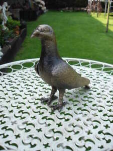 statue d un pigeon en fonte patinée bronze , nouveau !