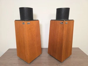 Paar Ohm Walsh 2 Lautsprecher Vintage - GETESTET MIT DEMO VIDEO - Bild 1 von 22